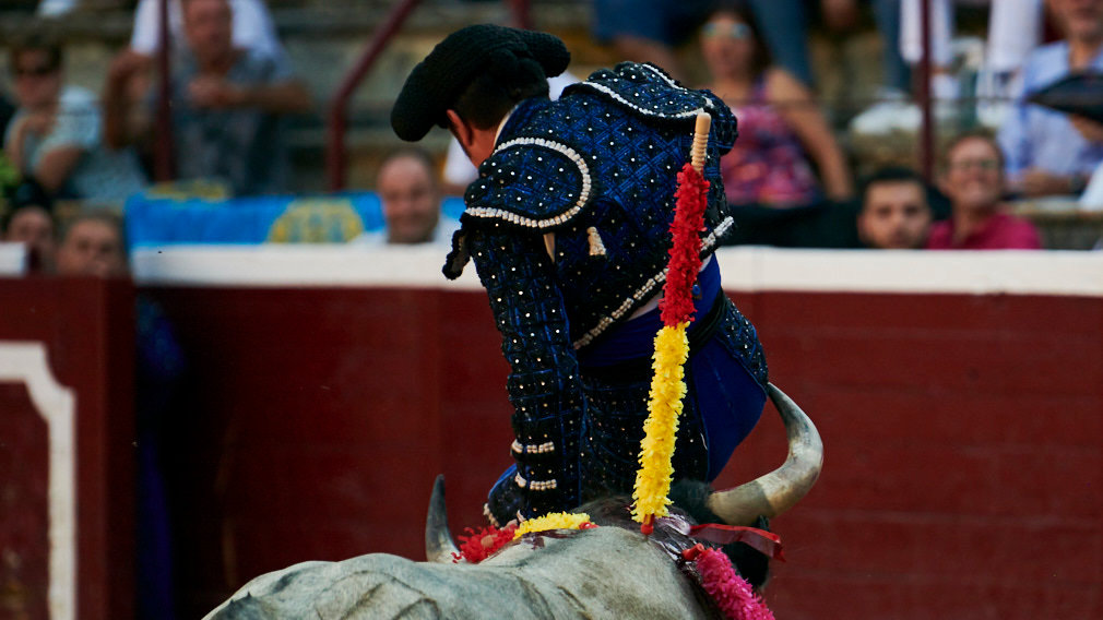 Fiesta y toros en Tafalla: las imágenes de la tercera corrida de la feria de Tafalla con los temibles toros de Saltillo