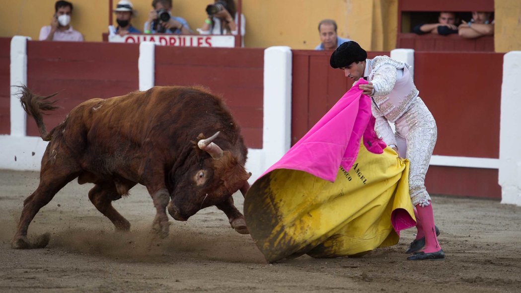 Reta de casta navarra debuta con una corrida complicada y tres toros de banderillas negras
