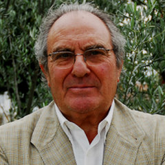 José Javier Viñes