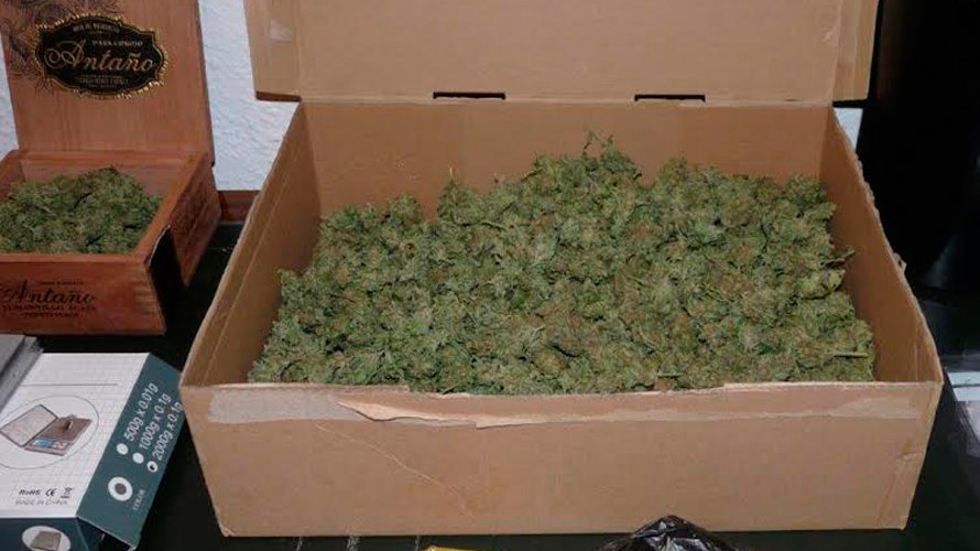 marihuana-1-kilo