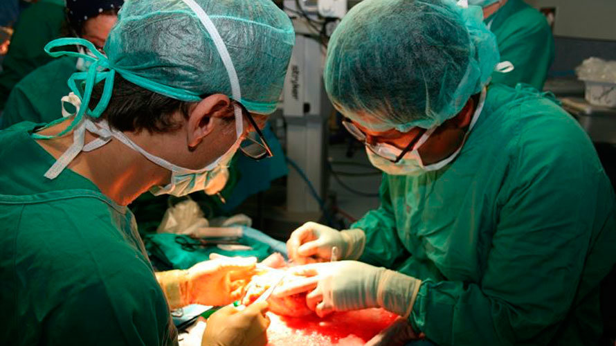Dos médicos realizan un trasplante.