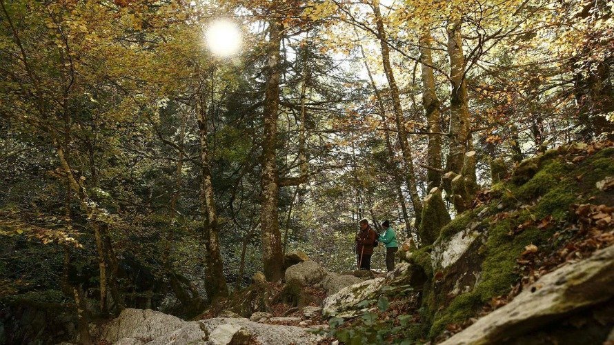 Dos personas paseando por la Selva de Irati. JESÚS DIGES.EFE