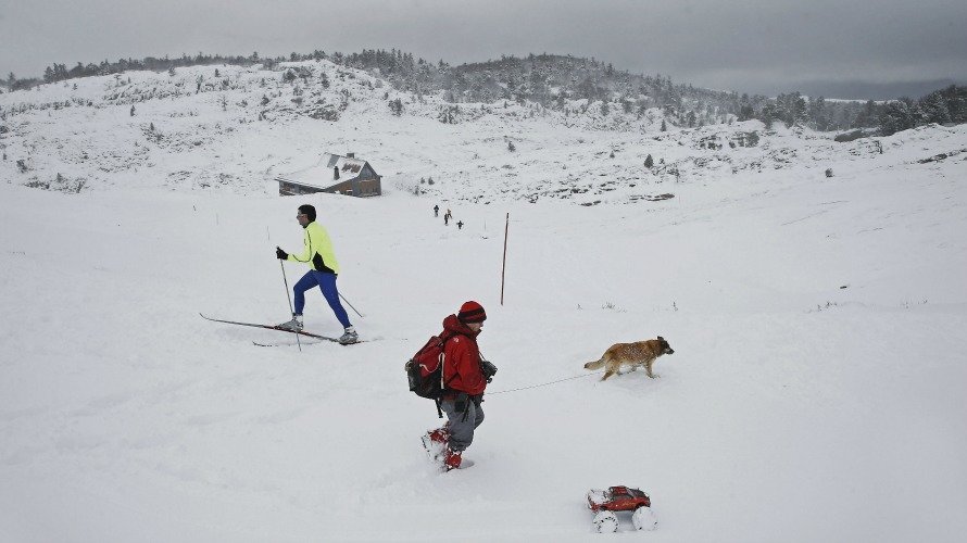 Un esquiador y un montañero con un coche teledirigido y su perro se cruzan en la zona de El Ferial, en el puerto de Belagua. EFE.