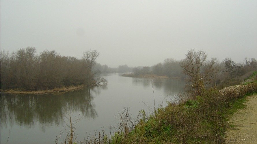 Imagen de un río. ARCHIVO