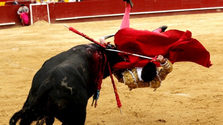 El diestro Jesús Duque sufre una cogida sin consecuencias en el primer toro de la tarde en la corrida de toros de la Feria de Fallas. EFE. JUAN CARLOS CÁRDENAS