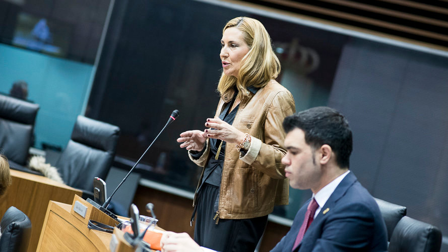 La parlamentaria Ana Beltrán durante una intervención en el Parlamento de Navarra. PABLO LASAOSA