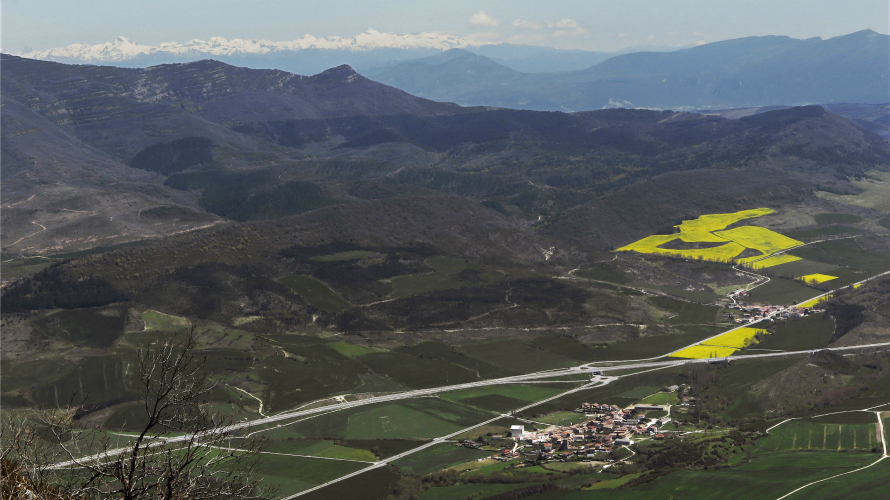 El blanco de la cordillera pirenaíca contrasta con el amarillo de los campos de colza y el verde del trigo plantado junto a la localidad de Salinas de Ibaigorrri, Navarra. Efe