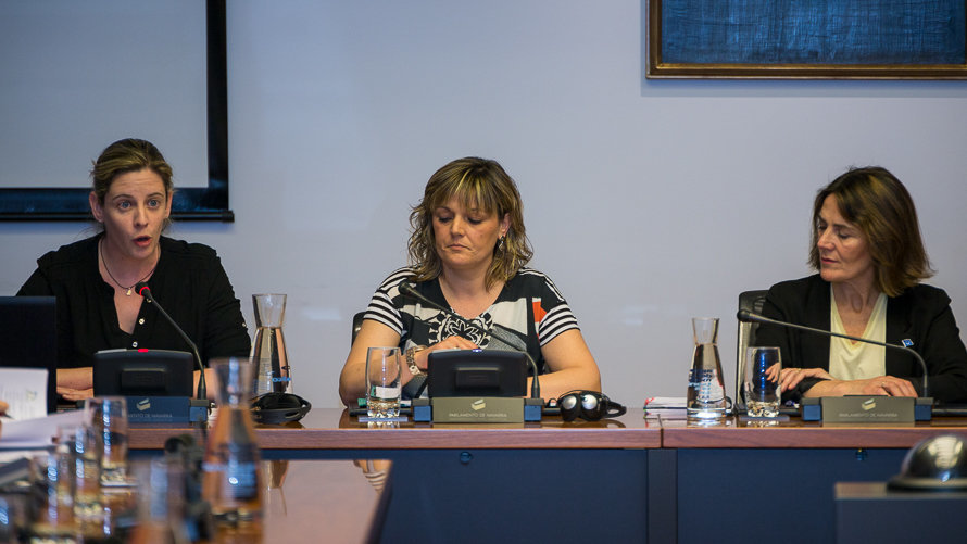 Representantes de la Asociación Navarra de Diabetes explican su situación en la Comisión de Salud del Parlamento de Navarra. (1). IÑIGO ALZUGARAY