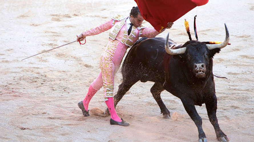 Corrida de Fandiño en la plaza de toros de Pamplona en San Fermín. Cristina Núñez Baquedano