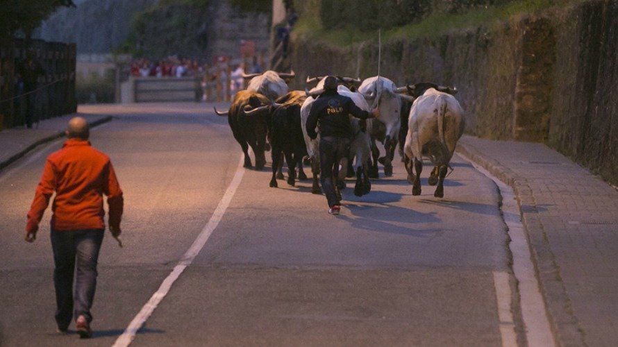 Encierrillo del día 11 de julio de 2014. San Fermín, sanfermines, toros, pastores, encierro. CRISTINA NÚÑEZ BAQUEDANO 2 (1)