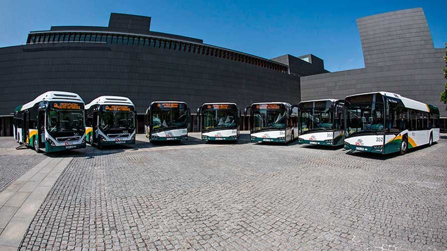 Las siete nuevas villavesas que se unen a la flota del servicio de transporte urbano comarcal de Pamplona.