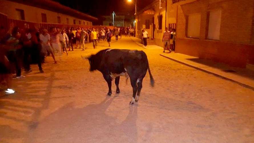 Encierro nocturno celebrado en la localidad de Fuentesaúco en Zamora.