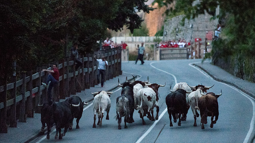 Encierrillo con los toros de Victoriano celebrado en la noche del 11 de julio. PABLO LASAOSA (9)