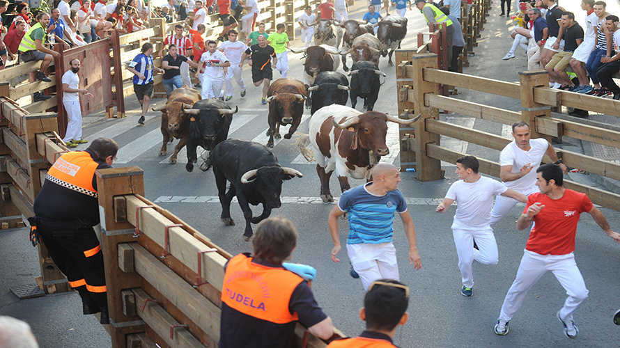 Ultimo encierro de las fiestas de Tudela, con los toros de Rosa Rodríguez. MIGUEL OSES (2)