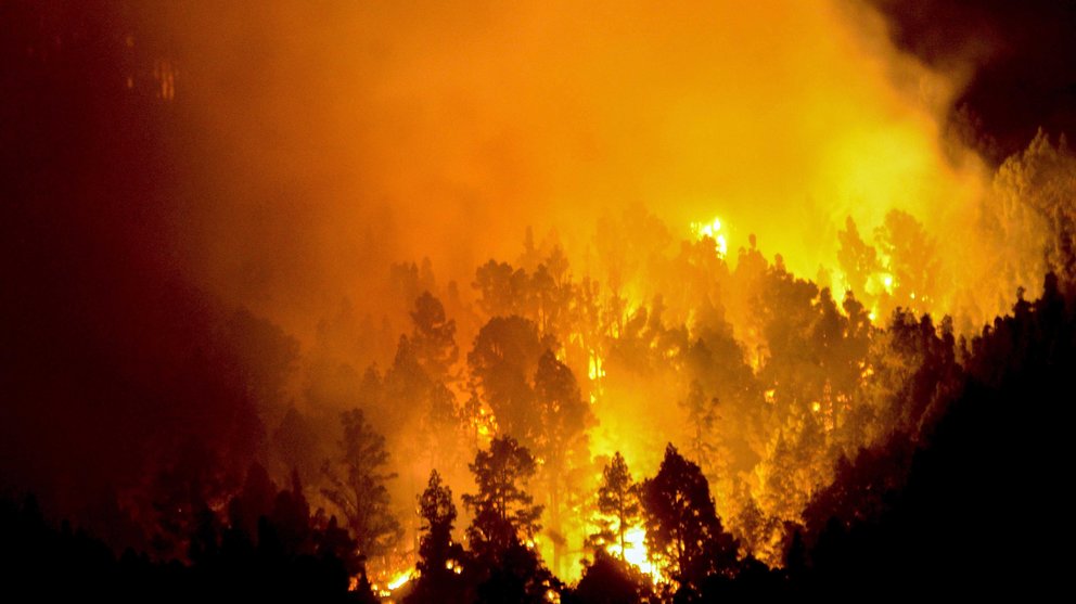 El incendio forestal que desde el miércoles afecta a La Palma sigue afectando al municipio de Villa de Mazo, donde entró la pasada noche, pero no ha llegado a los núcleos de población de la localidad. EFE.