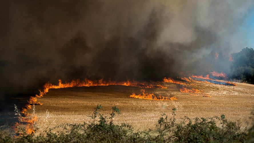 Bomberos de Navarra intervienen en el incendio de Tafalla. PABLO LASAOSA 15 - copia