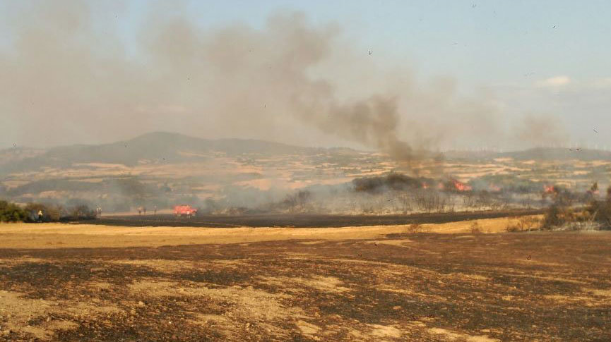 El incendio de Tafalla se reaviva a la altura de Pueyo. Guardia Forestal