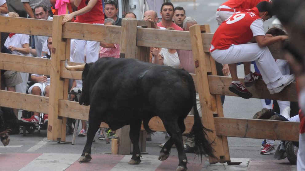 Imágenes del encierro de Peralta del 8 de septiembre con novillos de la ganadería de José Antonio Baigorri MIGUEL OSÉS (6)