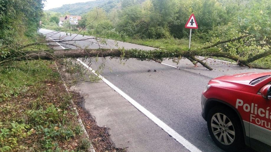 Caída de un árbol que ha obligado a cortar la carretera NA-1210 en Santesteban