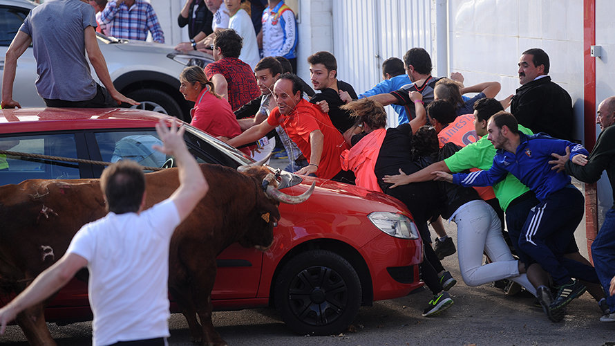 El toro de la ganadería Reta cierra el fin de semana de las angustias en Lodosa. MIGUEL OSÉS (19)