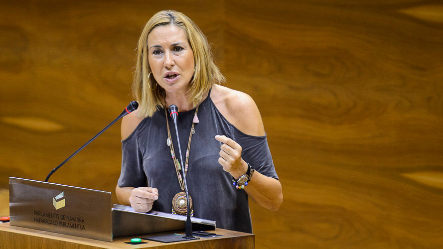 Ana Beltrán interviene en el Parlamento de Navarra. PABLO LASAOSA