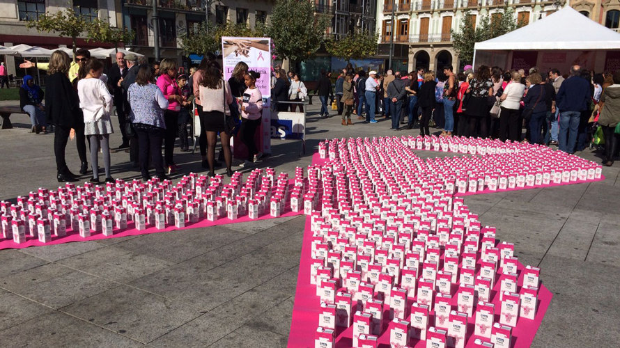 Jornada impulsada por la asociación navarra Saray contra el cáncer de mama. S. REDIN (3)