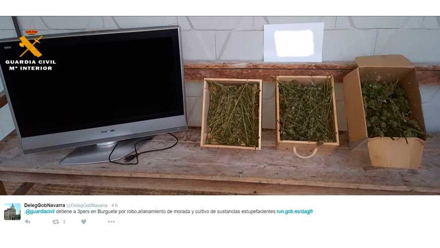 Imagen de la marihuana y el televisor incautados por la Guardia Civil. TWITTER