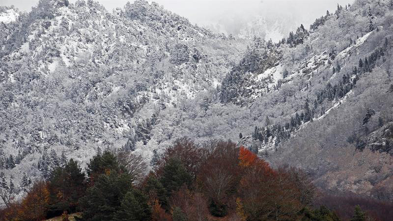 Imágenes del tiempo: las primeras nieves caídas en el Pirineo navarro contrastan con el color típicamente otoñal que aún conservan las hojas de algunos de los árboles de la zona. EFE/Jesús Diges