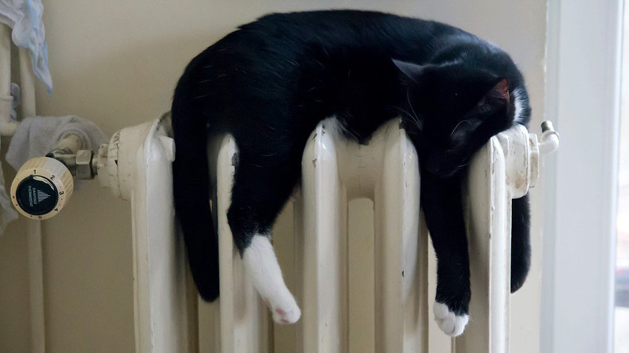 Un gato duerme al calor de un radiador de la calefacción ARCHIVO