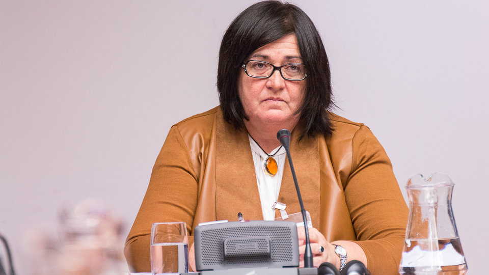 La directora-gerente de Sodena, Pilar Irigoien, analiza la situación de la empresa Davalor Salud en la comisión de Desarrollo Económico. IÑIGO ALZUGARAY