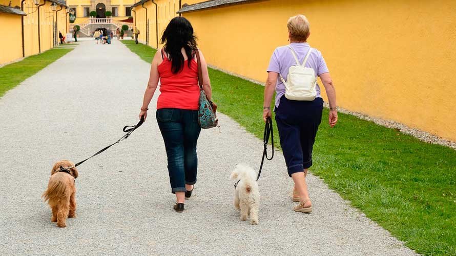 Dos mujeres pasean con sus perros. ARCHIVO