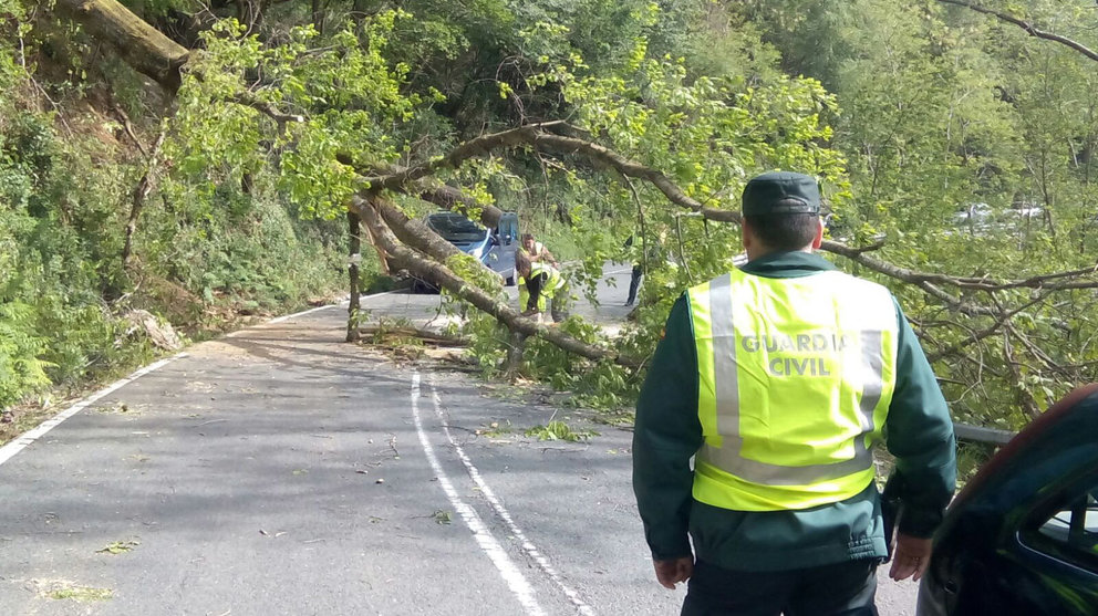 Un árbol caído en la NA-4150, en las inmediaciones de Goizueta, ha causado varios cortes al tráfico GUARDIA CIVIL