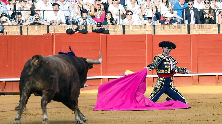Juan José Padilla recibe de rodillas con una larga cambiada al toro de Jandilla en Sevilla. FOTO MAESTRANZA PAGÉS