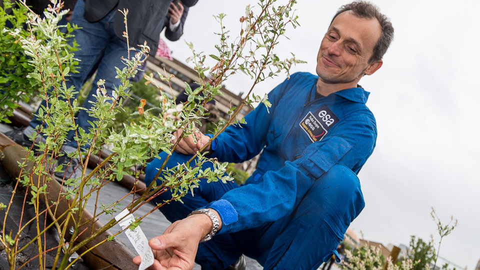 El astronauta Pedro Duque planta un arbusto, en nombre de la ESA, en el Jardín de la Galaxia del Parque de Yamaguchi de Pamplona (41). IÑIGO ALZUGARAY