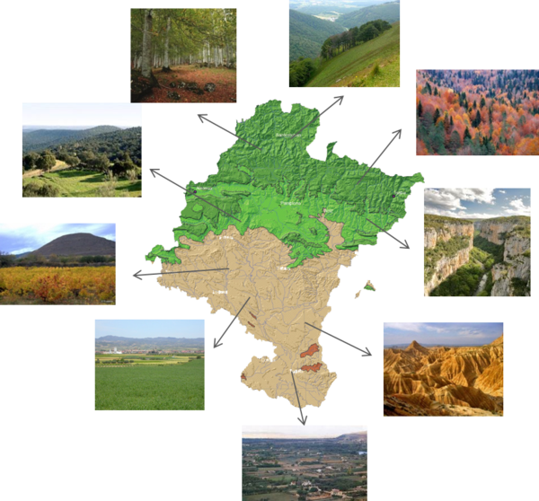 Mapa de Biodiversidad en Navarra. Cedida.