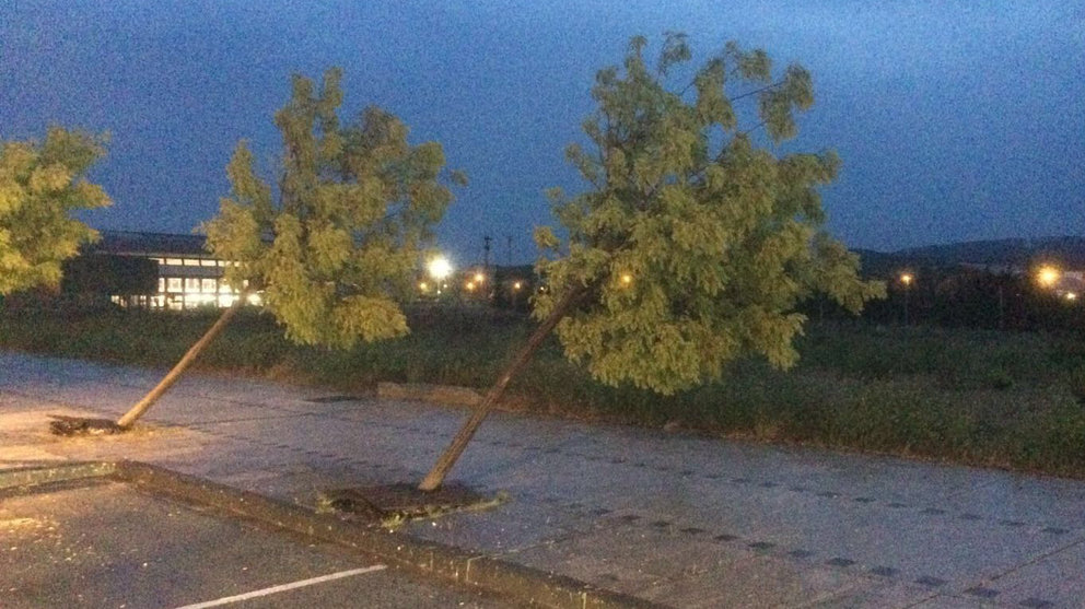 Árboles derribados por el viento en Tafalla debido a la fuerte tormenta de este 8 de junio. NAVARRA (2)