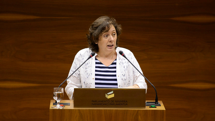 Isabel Elizalde en el Parlamento de Navarra. PABLO LASAOSA