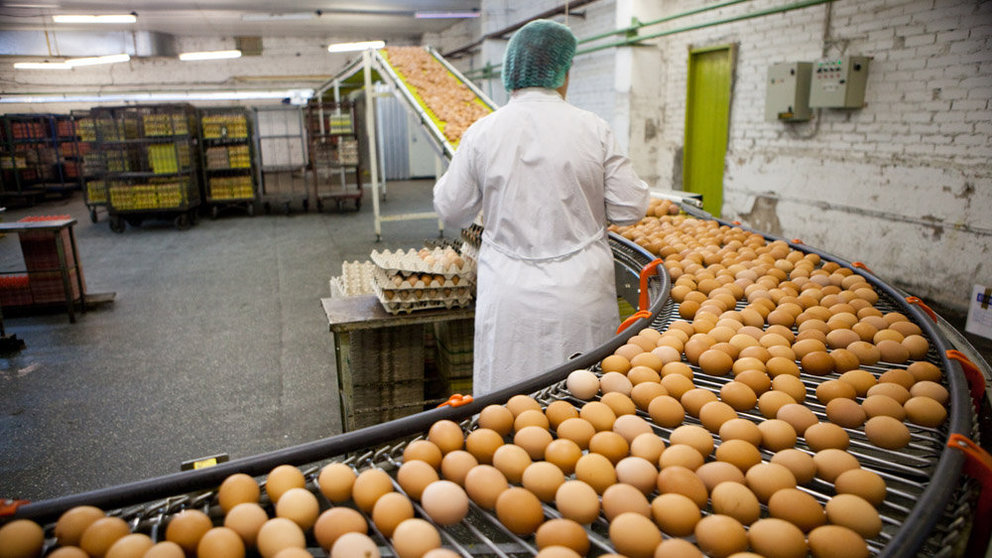 Imagen de un trabajador manipulando huevos para su distribución y venta ARCHIVO