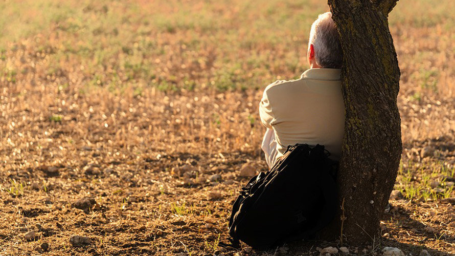 Un hombre yace tranquilo apoyado sobre un árbol