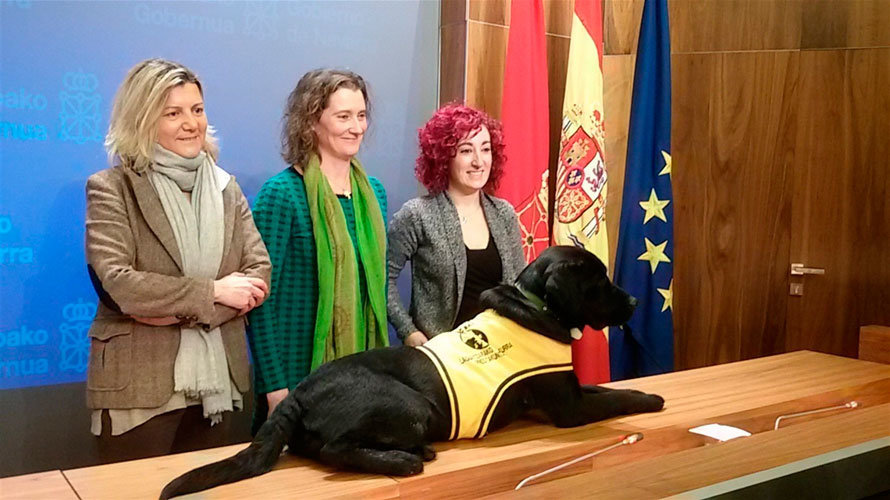Momento de la presentación de la guía informativa sobre perros guía en la sala de prensa del Gobierno de Navarra EUROPA PRESS