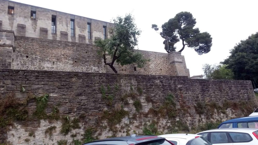 El Ayuntamiento de Pamplona intervendrá en mantenimiento del muro bajo de los Jardines de Palacio para consolidar su estructura CEDIDA