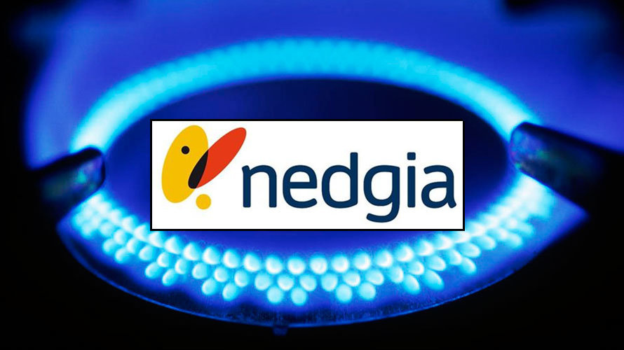 Gas Natural Fenosa ha lanzado Nedgia Navarra, la nueva marca para su actividad de distribución de gas en la Comunidad foral