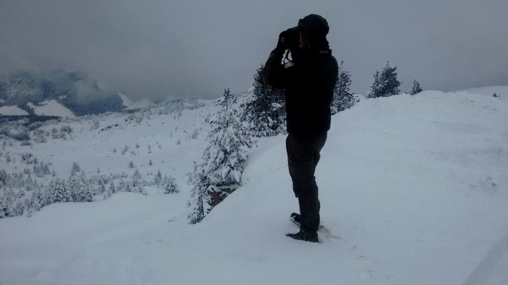 Un guarda forestal realiza labores de vigilancia en el valle de Roncal, cubierto de nieve tras el temporal de frío GUARDERIO FORESTAL DE NAVARRA