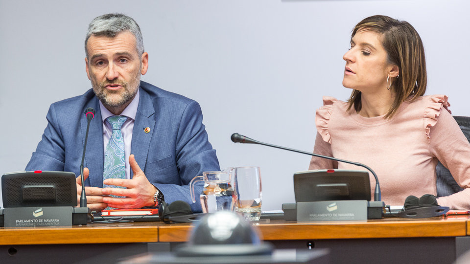 Alfonso Carlosena, rector de la Universidad Pública de Navarra, informa al Parlamento de la situación actual de la implantación del Grado de Medicina (19). IÑIGO ALZUGARAY