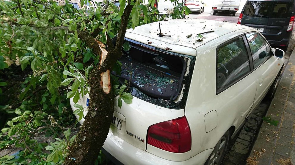 El estado en el que ha quedado uno de los vehículos afectados por la caída de la rama de un arbol junto al frontón Labrit POLICÍA MUNICIPAL