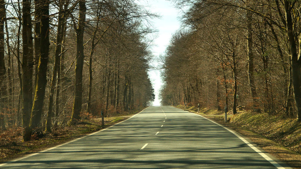 Una carretera en la Comunidad foral de Navarra.jpg