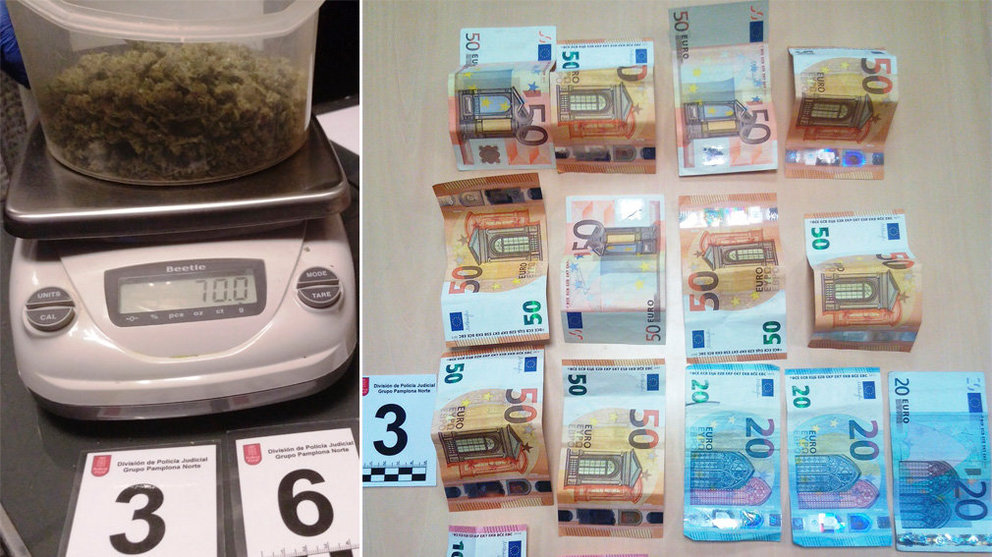 Cannabis incuatado en Villava y dinero intervenido en el barrio de la Rochapea en Pamplona. POLICÍA FORAL