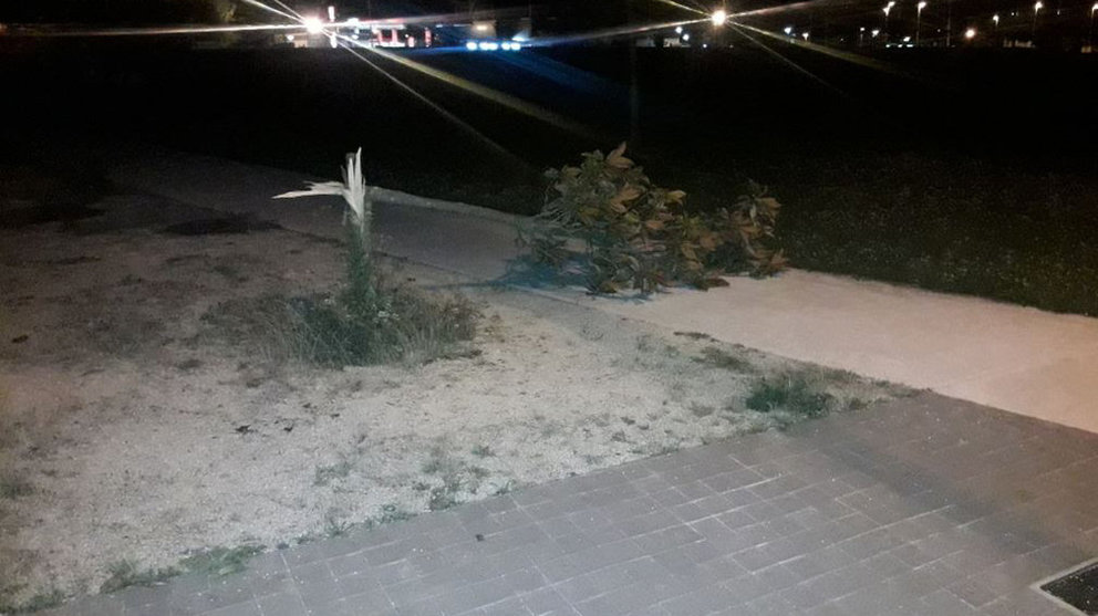 Árboles rotos en la avenida de Guipúzcoa POLICÍA MUNICIPAL DE PAMPLONA