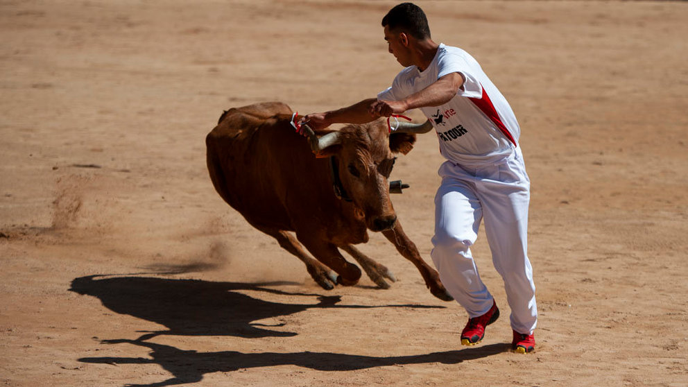 Concurso de anillas de los sanfermines de 2018 en la plaza de toros de Pamplona. MIGUEL OSÉS_6
