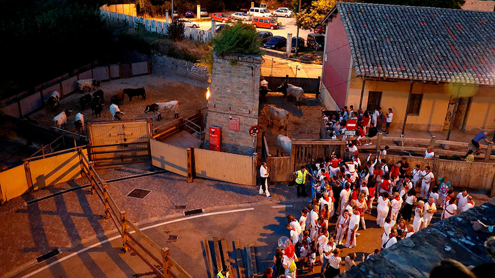GRAF9292. PAMPLONA, 12/07/2018.- Los toros de la ganadería extremeña de Jandilla descansan en los corrales tras protagonizar el "Encierrillo", que es el traslado de los toros que participan en el encierro del día siguiente a los corrales de Santo Domingo. Los 440 metros se realizan sin corredores, en torno a las diez de la noche y se contempla en silencio, lo que contrasta con los encierros de la mañana. EFE/Villar López.